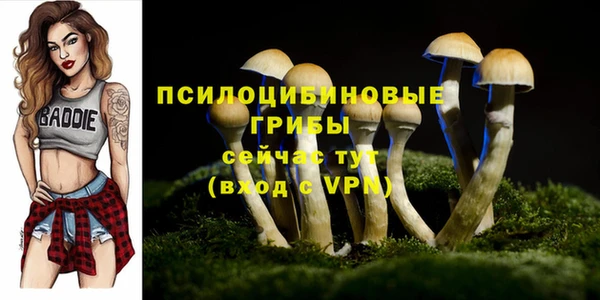 эйфоретик Богородицк